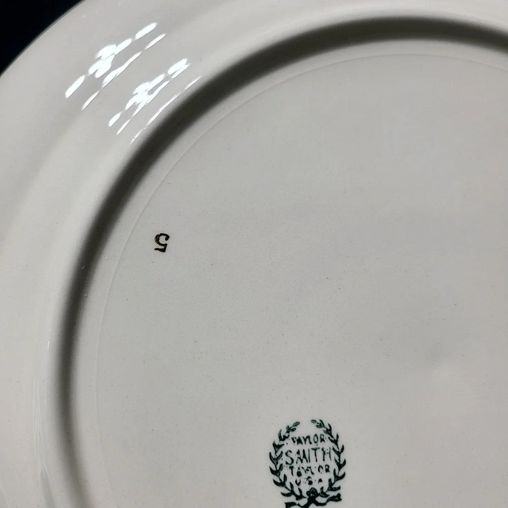 VTG‎ Taylor Smith Taylor USA Dinner Plate Cream Silver Platinum Striped Rim 10